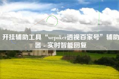 开挂辅助工具“wepoker透视百家号”辅助器 - 实时智能回复