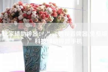 玩家辅助神器：“wpk透视看牌器(免费版)	”科技辅助神器手机