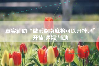 真实辅助“微乐湖南麻将可以开挂吗	”开挂(透视)辅助
