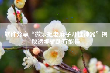 软件分享“微乐捉老麻子开挂神器	”揭秘透视辅助万能挂