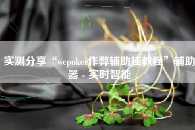 实测分享“wepoker作弊辅助挂教程”辅助器 - 实时智能