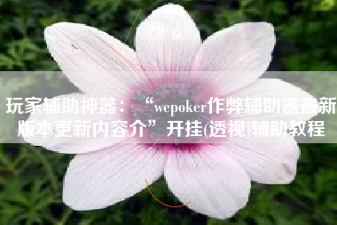 玩家辅助神器：“wepoker作弊辅助器最新版本更新内容介”开挂(透视)辅助教程