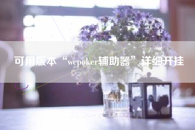 可用版本“wepoker辅助器”详细开挂