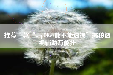 推荐一款“wepOKer能不能透视	”揭秘透视辅助万能挂