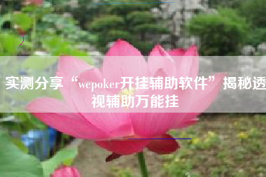 实测分享“wepoker开挂辅助软件”揭秘透视辅助万能挂