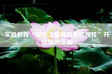 实操教程“德扑之星有没有透视挂	”开挂辅助详细