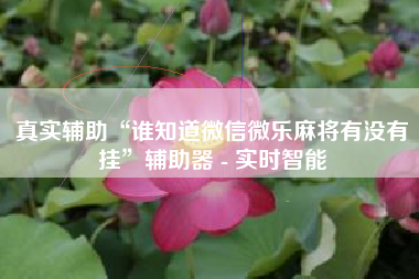 真实辅助“谁知道微信微乐麻将有没有挂”辅助器 - 实时智能