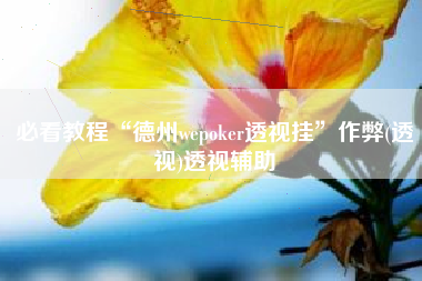 必看教程“德州wepoker透视挂	”作弊(透视)透视辅助