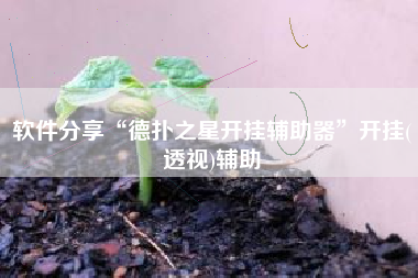 软件分享“德扑之星开挂辅助器”开挂(透视)辅助