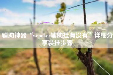 辅助神器“wepoker辅助挂有没有”详细分享装挂步骤