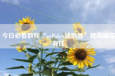今日必看教程“wePoker辅助器	”其实确实有挂