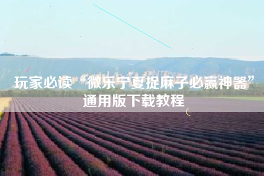玩家必读“微乐宁夏捉麻子必赢神器”通用版下载教程