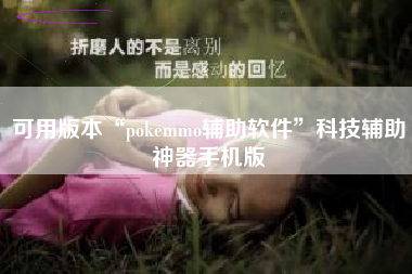 可用版本“pokemmo辅助软件”科技辅助神器手机版