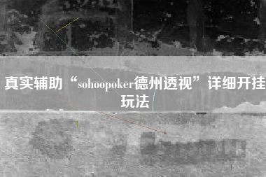 真实辅助“sohoopoker德州透视	”详细开挂玩法
