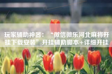 玩家辅助神器：“微信微乐河北麻将开挂下载安装	”开挂辅助脚本+详细开挂