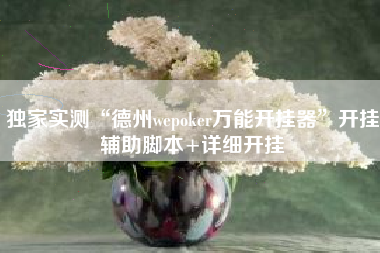 独家实测“德州wepoker万能开挂器”开挂辅助脚本+详细开挂