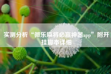 实测分析“微乐麻将必赢神器app”附开挂脚本详细
