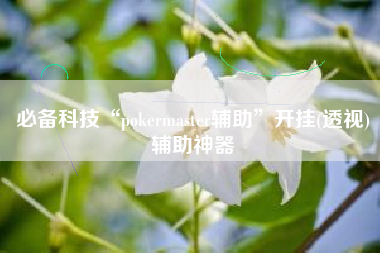 必备科技“pokermaster辅助”开挂(透视)辅助神器