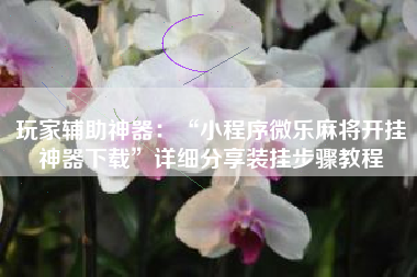 玩家辅助神器：“小程序微乐麻将开挂神器下载”详细分享装挂步骤教程