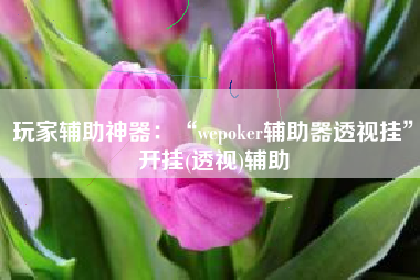 玩家辅助神器：“wepoker辅助器透视挂”开挂(透视)辅助