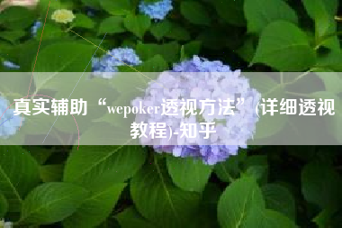 真实辅助“wepoker透视方法	”(详细透视教程)-知乎