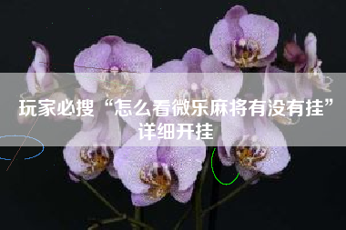 玩家必搜“怎么看微乐麻将有没有挂	”详细开挂