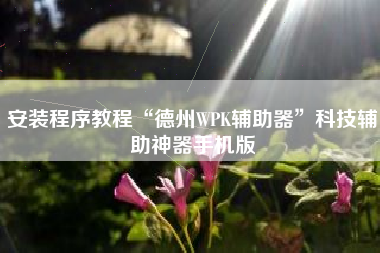 安装程序教程“德州WPK辅助器”科技辅助神器手机版
