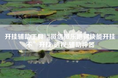 开挂辅助工具“微信微乐跑得快能开挂不	”开挂(透视)辅助神器