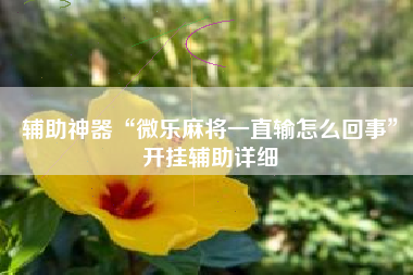 辅助神器“微乐麻将一直输怎么回事	”开挂辅助详细