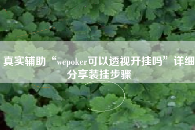真实辅助“wepoker可以透视开挂吗”详细分享装挂步骤
