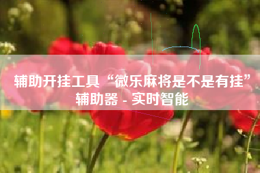 辅助开挂工具“微乐麻将是不是有挂	”辅助器 - 实时智能