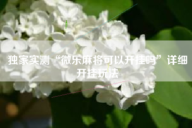 独家实测“微乐麻将可以开挂吗”详细开挂玩法