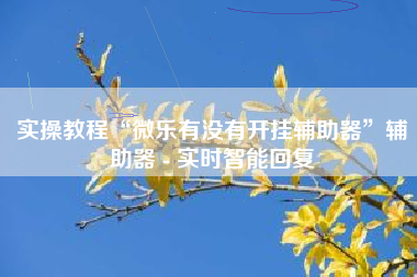 实操教程“微乐有没有开挂辅助器”辅助器 - 实时智能回复