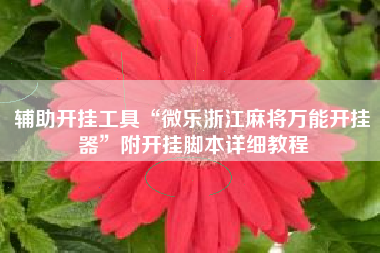 辅助开挂工具“微乐浙江麻将万能开挂器”附开挂脚本详细教程