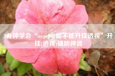 3分钟学会“wepoker能不能开挂透视	”开挂(透视)辅助神器