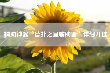 辅助神器“德扑之星辅助器”详细开挂