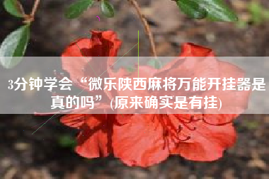 3分钟学会“微乐陕西麻将万能开挂器是真的吗	”(原来确实是有挂)