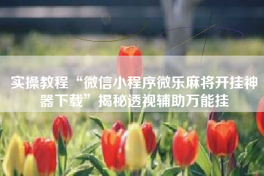 实操教程“微信小程序微乐麻将开挂神器下载”揭秘透视辅助万能挂