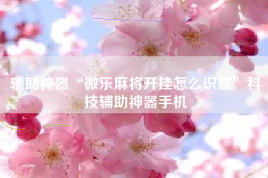 辅助神器“微乐麻将开挂怎么识破”科技辅助神器手机