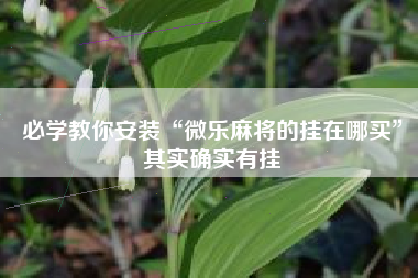 必学教你安装“微乐麻将的挂在哪买”其实确实有挂