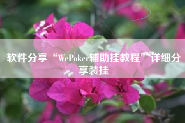 软件分享“WePoker辅助挂教程”详细分享装挂