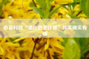 必备科技“德扑胜率计算	”其实确实有挂