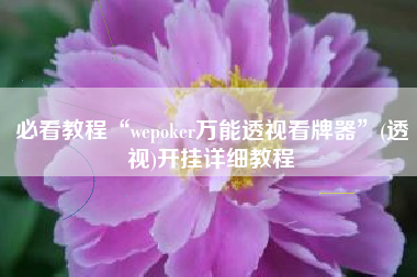 必看教程“wepoker万能透视看牌器”(透视)开挂详细教程