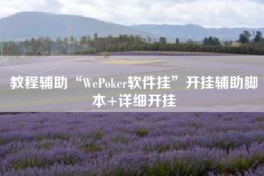 教程辅助“WePoker软件挂”开挂辅助脚本+详细开挂
