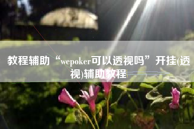 教程辅助“wepoker可以透视吗”开挂(透视)辅助教程