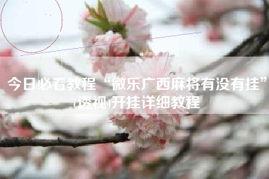 今日必看教程“微乐广西麻将有没有挂”(透视)开挂详细教程