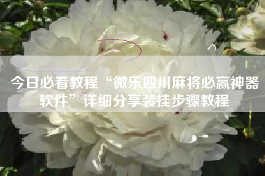 今日必看教程“微乐四川麻将必赢神器软件”详细分享装挂步骤教程
