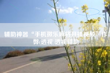 辅助神器“手机微乐麻将开挂视频	”作弊(透视)透视辅助