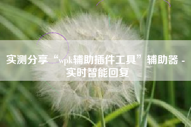 实测分享“wpk辅助插件工具”辅助器 - 实时智能回复